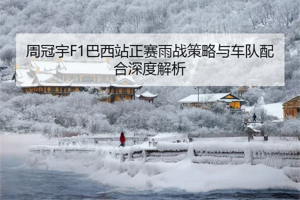 周冠宇F1巴西站正赛雨战策略与车队配合深度解析